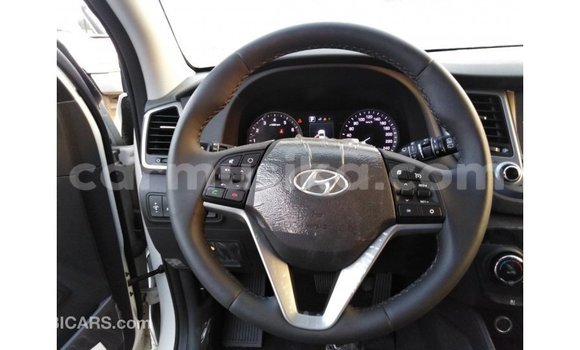 Tenga Imported Hyundai Tucson Chena Mota in Import - Dubai in Harare Tenga Imported Hyundai Tucson Chena Mota in Import - Dubai in Harare