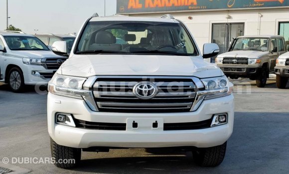 Buy Import Toyota Land Cruiser White Car in Import - Dubai in Harare Buy Import Toyota Land Cruiser White Car in Import - Dubai in Harare