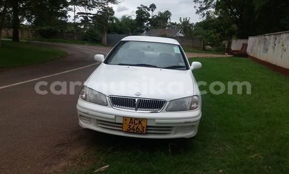 Buy Used Nissan Bluebird Sylphy White Car in Harare in Harare Buy Used Nissan Bluebird Sylphy White Car in Harare in Harare