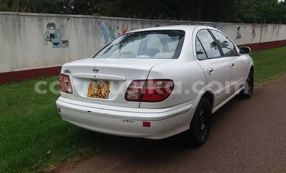 Buy Used Nissan Bluebird Sylphy White Car in Harare in Harare Buy Used Nissan Bluebird Sylphy White Car in Harare in Harare