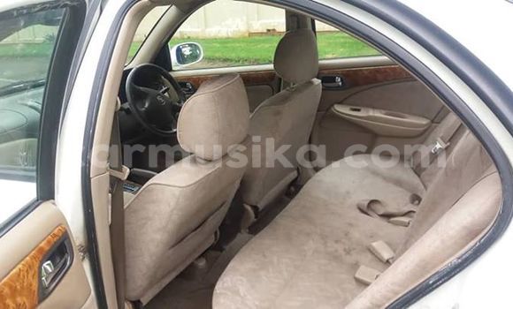 Buy Used Nissan Bluebird Sylphy White Car in Harare in Harare Buy Used Nissan Bluebird Sylphy White Car in Harare in Harare