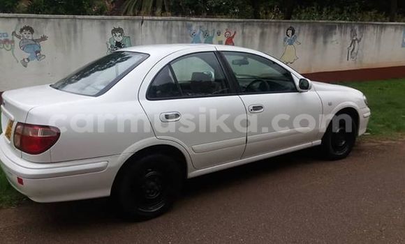 Buy Used Nissan Bluebird Sylphy White Car in Harare in Harare Buy Used Nissan Bluebird Sylphy White Car in Harare in Harare