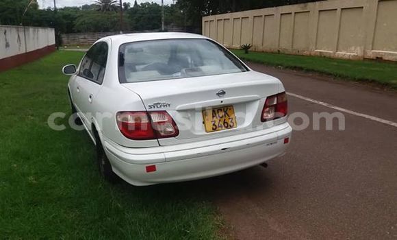 Buy Used Nissan Bluebird Sylphy White Car in Harare in Harare Buy Used Nissan Bluebird Sylphy White Car in Harare in Harare