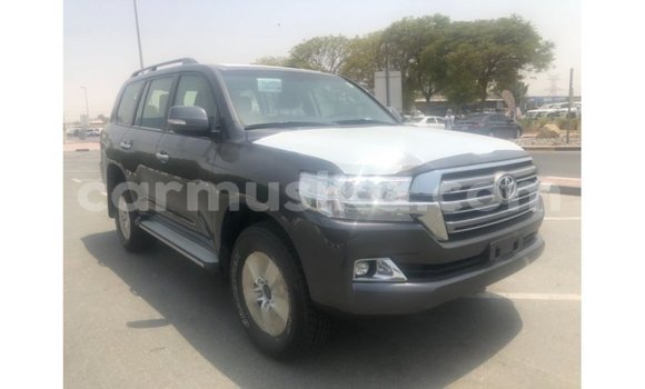 Buy Import Toyota Land Cruiser Other Car in Import - Dubai in Harare Buy Import Toyota Land Cruiser Other Car in Import - Dubai in Harare