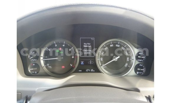 Tenga Imported Toyota Land Cruiser Chena Mota in Import - Dubai in Harare Tenga Imported Toyota Land Cruiser Chena Mota in Import - Dubai in Harare