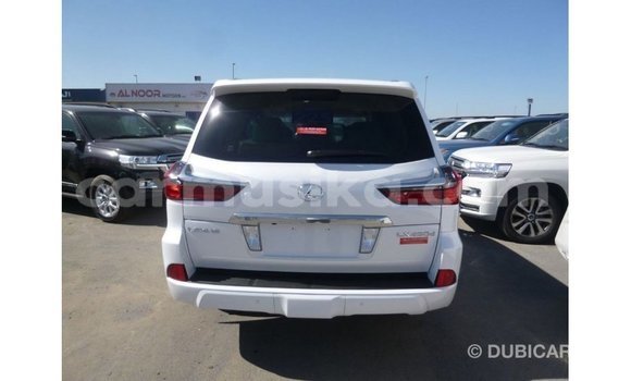 Nunua Imported Lexus LX Nyeupe Gari ndani ya Import - Dubai nchini Harare Nunua Imported Lexus LX Nyeupe Gari ndani ya Import - Dubai nchini Harare