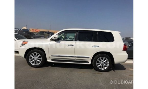 Buy Import Toyota Land Cruiser White Car in Import - Dubai in Harare Buy Import Toyota Land Cruiser White Car in Import - Dubai in Harare